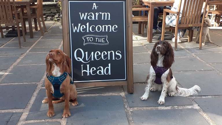 Two well-behaved spaniels sitting beside the welcome sign to the Queen's Head, a dog-friendly pub in the Lake District National Park